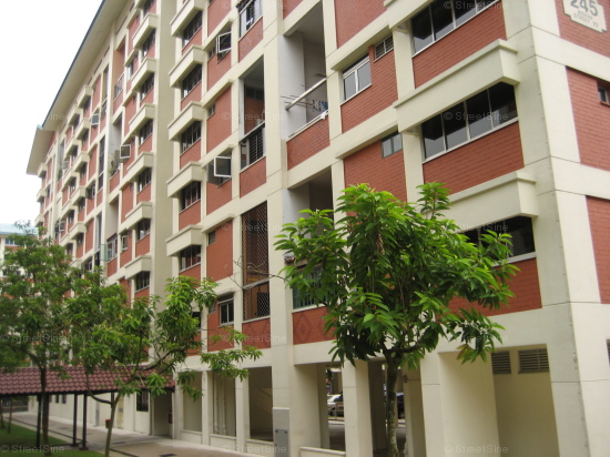 Blk 245 Bishan Street 22 (Bishan), HDB Executive #386622